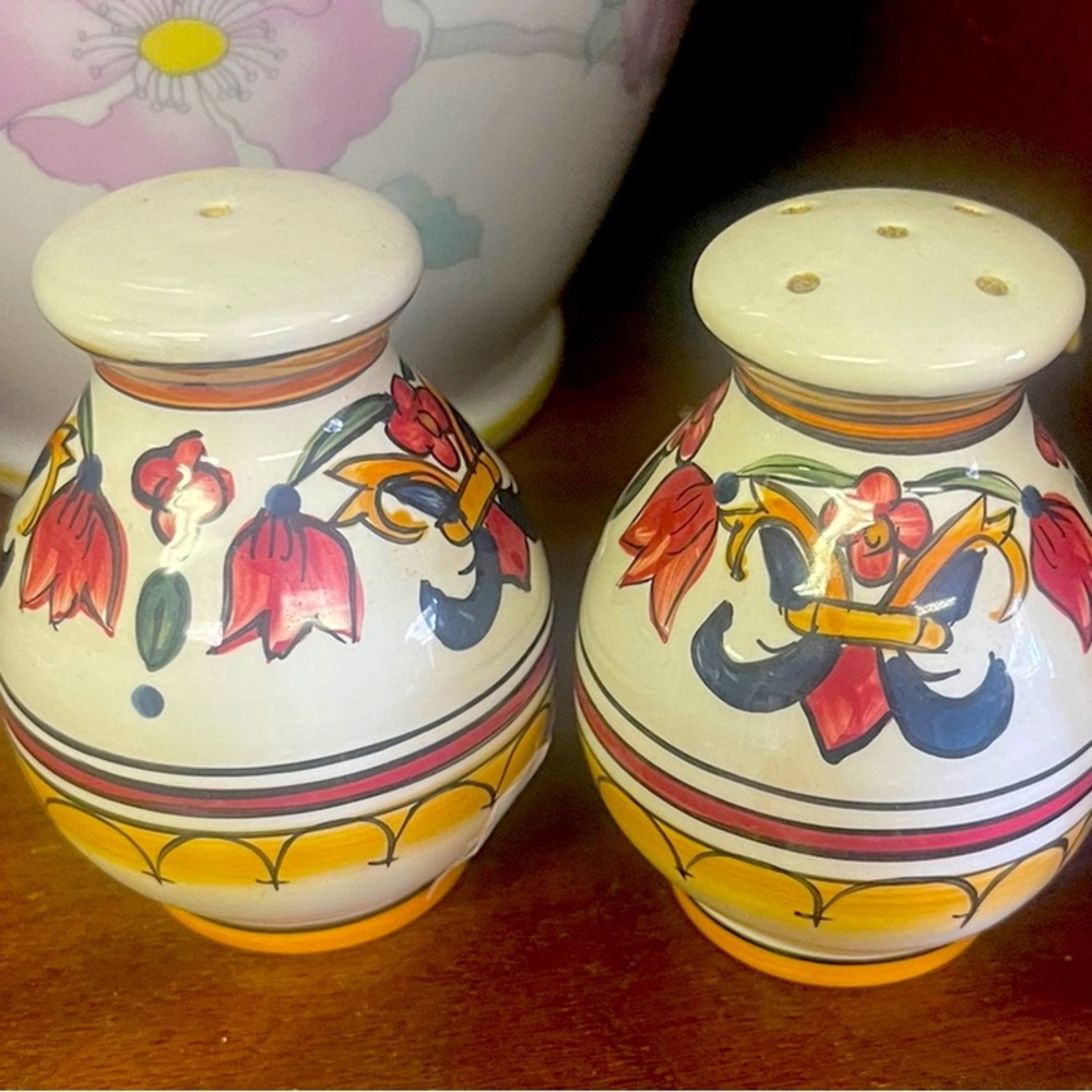 Salt and Pepper Shakers multi color